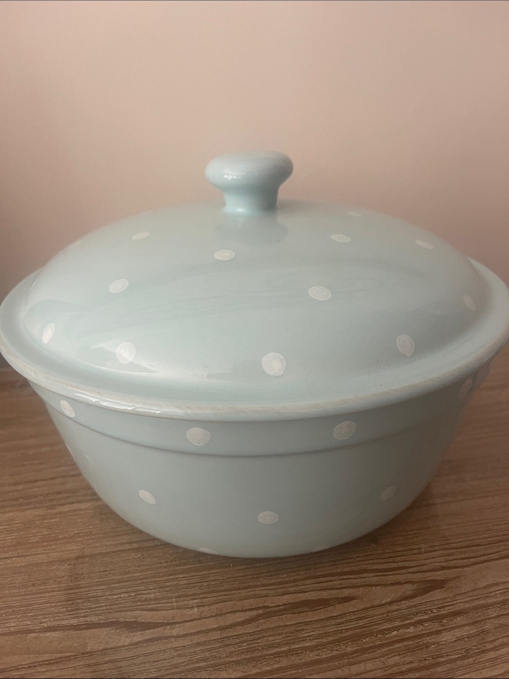 Light Blue Polka Dot Ceramic Covered Casserole Dish